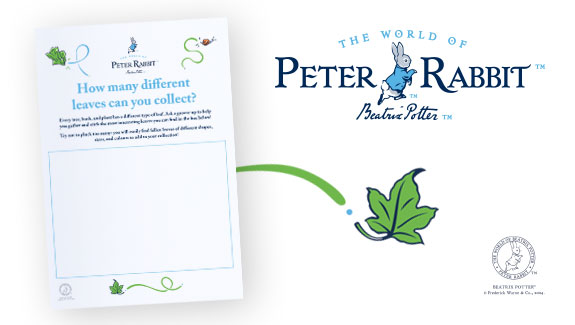 How to make a leaf collage activity sheet